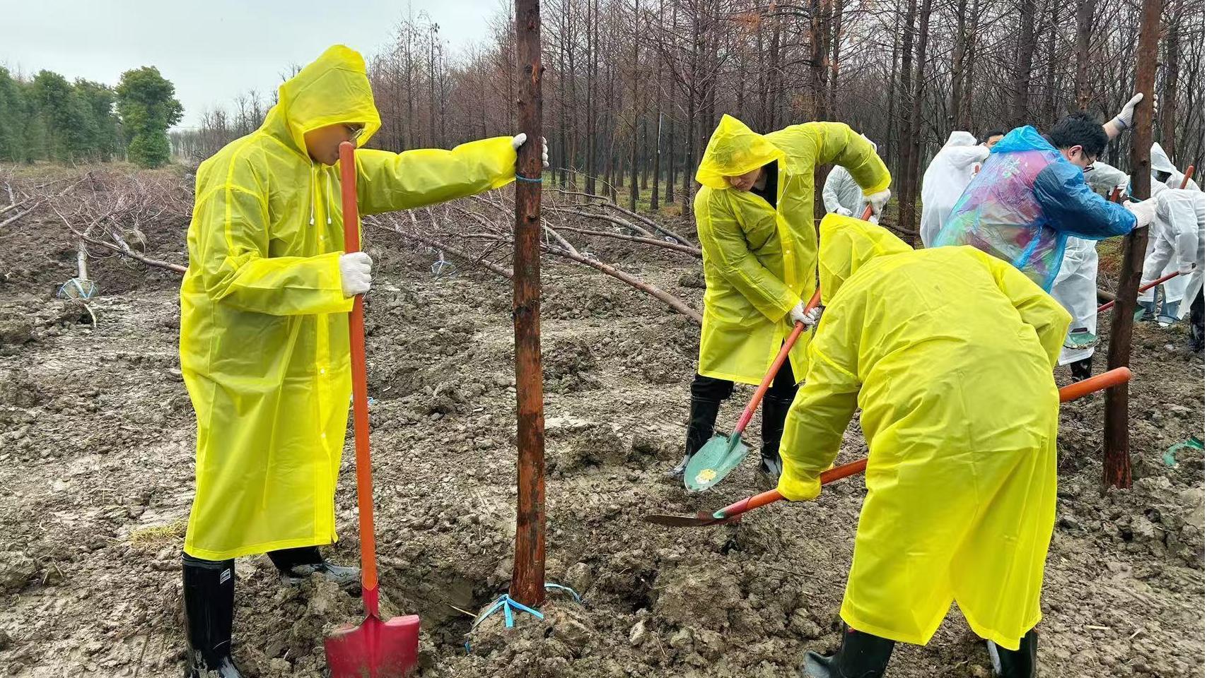 Tree Planting Day | Sowing Green Hopes, We Are Taking Action!